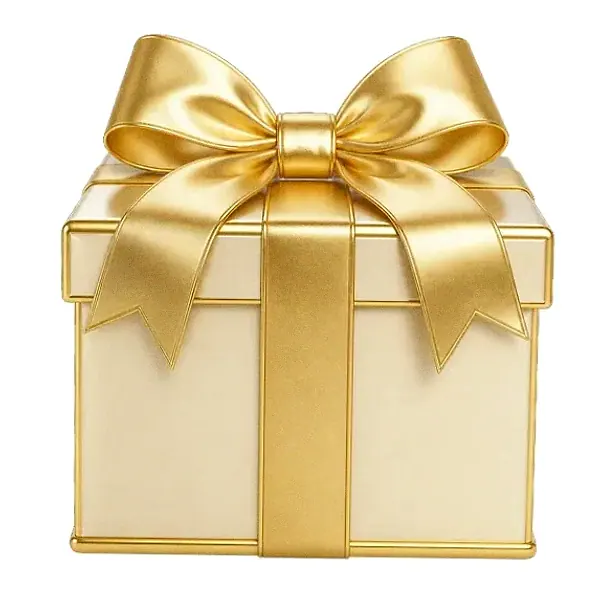 Wrapped gift box — Pirate Slots